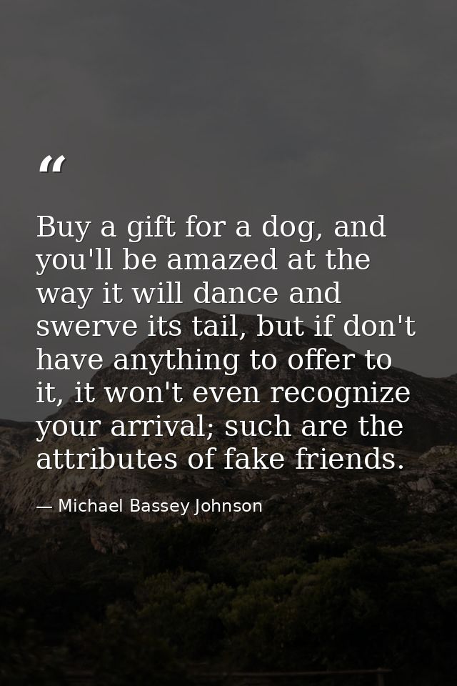 Buy a gift for a dog, and you'll be amazed at the way it will dance and swerve its tail, but if don't have anything to o — Michael Bassey Johnson