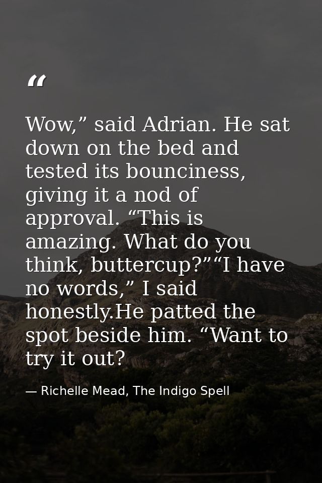 Wow,” said Adrian. He sat down on the bed and tested its bounciness, giving it a nod of approval. “This is amazing. What — Richelle Mead, The Indigo Spell