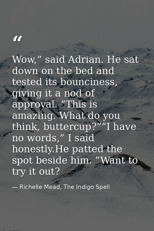 Wow,” said Adrian. He sat down on the bed and tested its bounciness, giving it a nod of approval. “This is amazing. What — Richelle Mead, The Indigo Spell