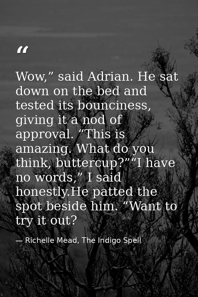 Wow,” said Adrian. He sat down on the bed and tested its bounciness, giving it a nod of approval. “This is amazing. What — Richelle Mead, The Indigo Spell