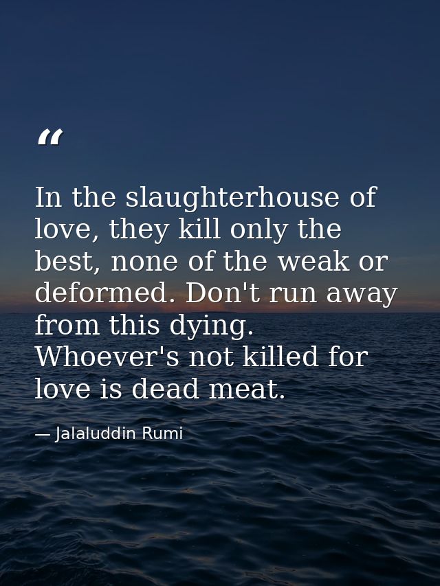 In the slaughterhouse of love, they kill only the best, none of the weak or deformed. Don't run away from this dying. Wh — Jalaluddin Rumi