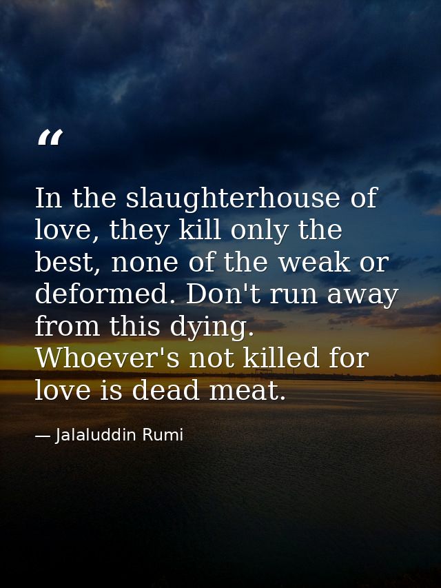 In the slaughterhouse of love, they kill only the best, none of the weak or deformed. Don't run away from this dying. Wh — Jalaluddin Rumi