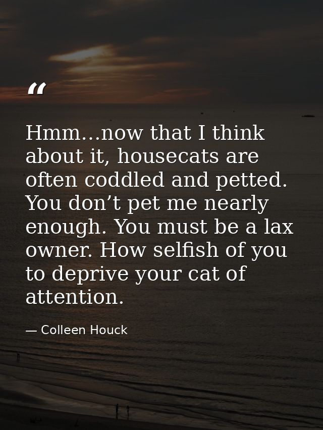 Hmm…now that I think about it, housecats are often coddled and petted. You don’t pet me nearly enough. You must be a lax — Colleen Houck