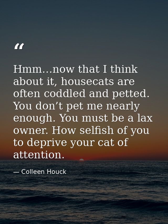 Hmm…now that I think about it, housecats are often coddled and petted. You don’t pet me nearly enough. You must be a lax — Colleen Houck