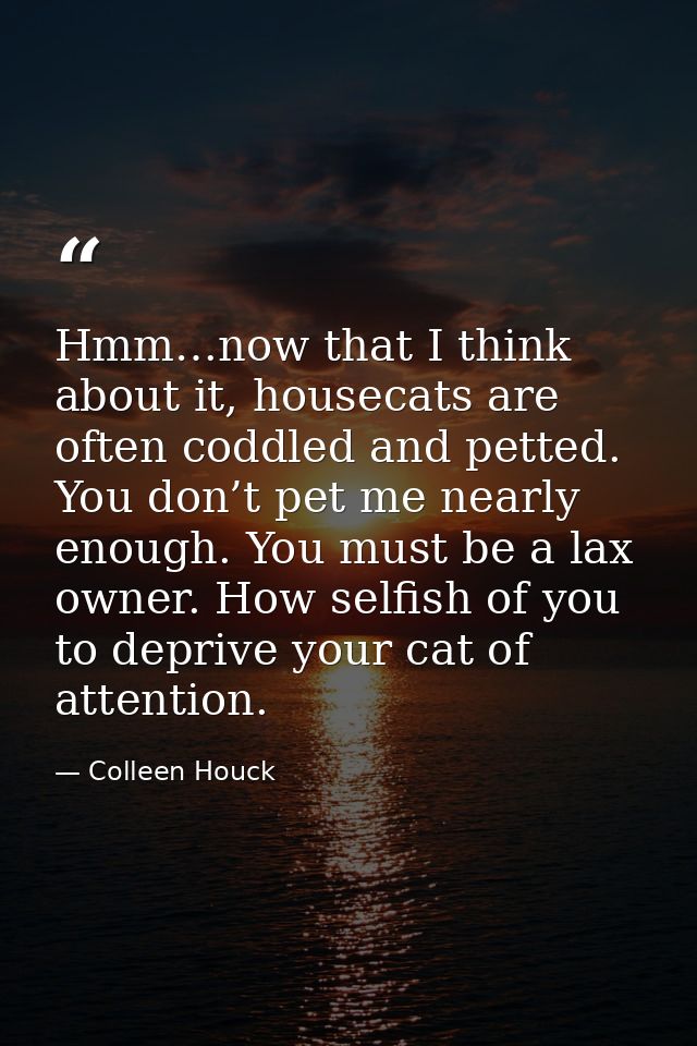 Hmm…now that I think about it, housecats are often coddled and petted. You don’t pet me nearly enough. You must be a lax — Colleen Houck