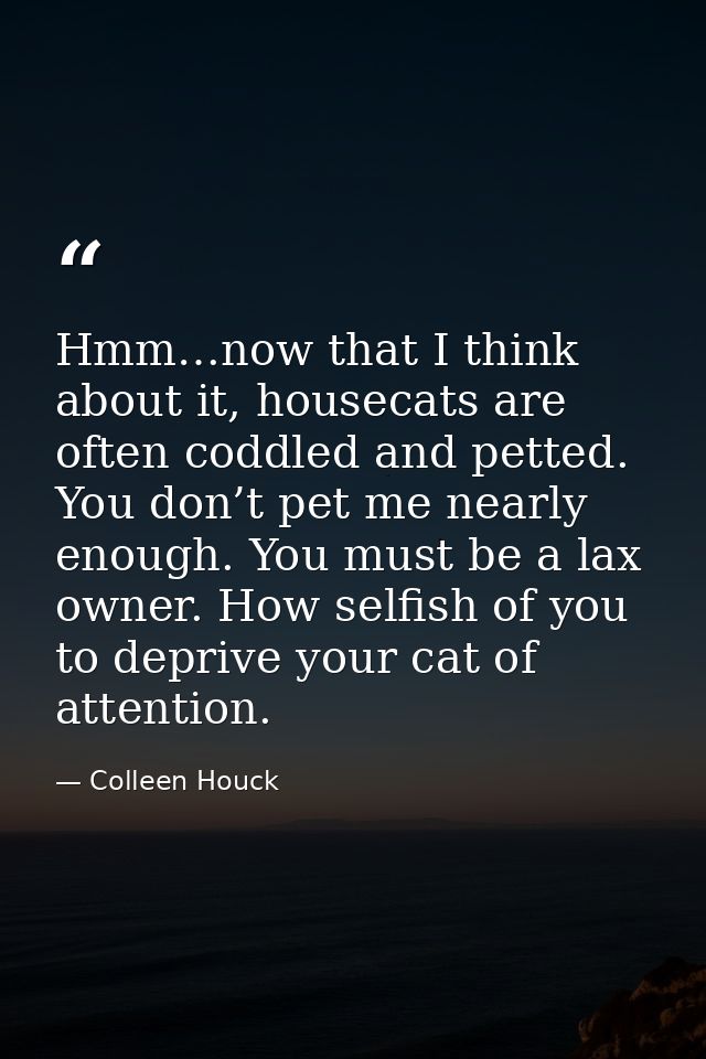 Hmm…now that I think about it, housecats are often coddled and petted. You don’t pet me nearly enough. You must be a lax — Colleen Houck