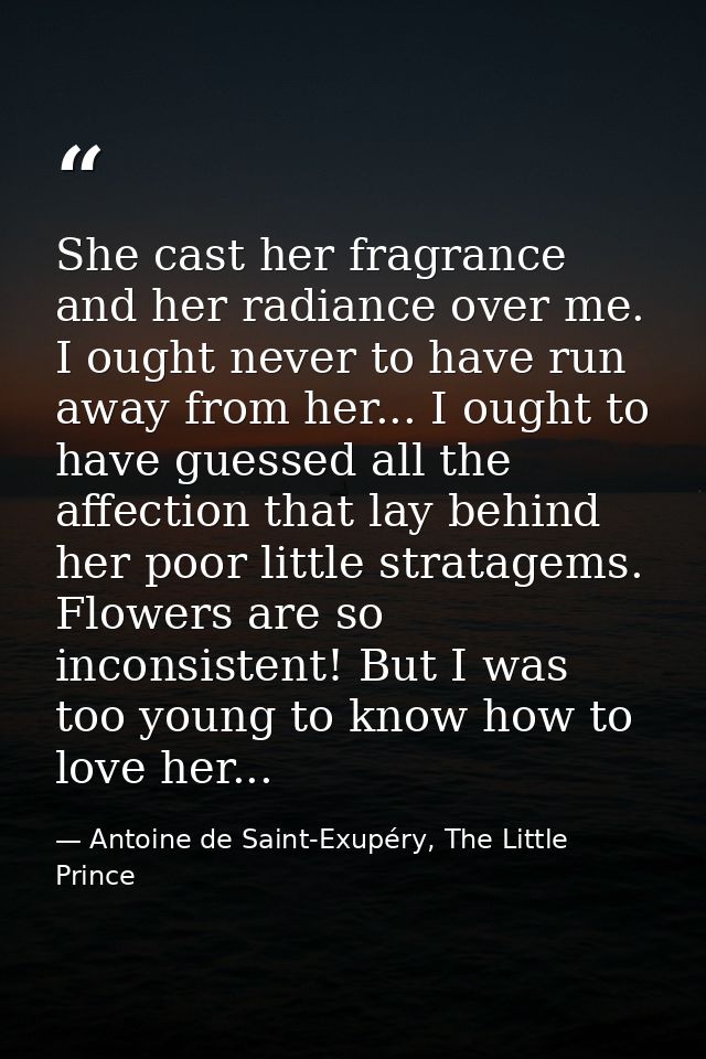 She cast her fragrance and her radiance over me. I ought never to have run away from her... I ought to have guessed all  — Antoine de Saint-Exupéry, The Little Prince