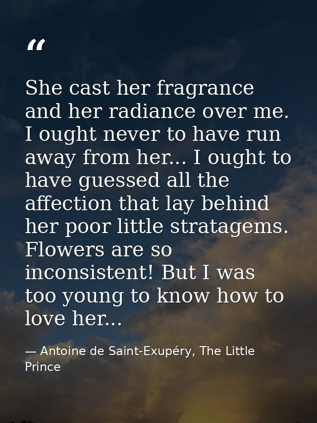 She cast her fragrance and her radiance over me. I ought never to have run away from her... I ought to have guessed all  — Antoine de Saint-Exupéry, The Little Prince