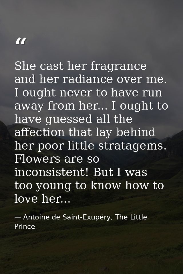 She cast her fragrance and her radiance over me. I ought never to have run away from her... I ought to have guessed all  — Antoine de Saint-Exupéry, The Little Prince