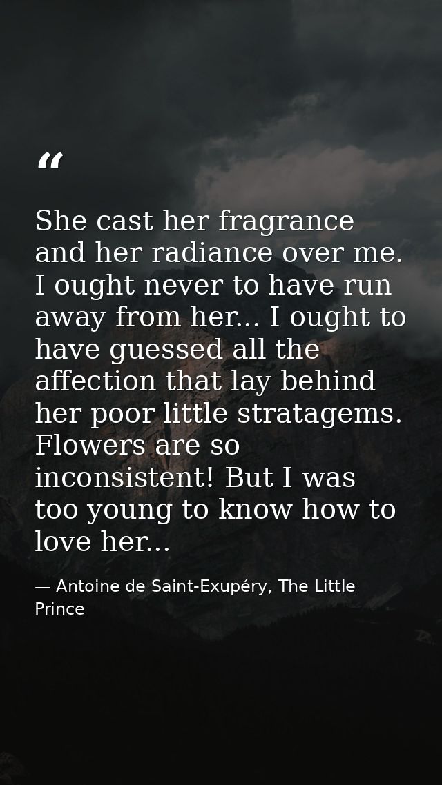 She cast her fragrance and her radiance over me. I ought never to have run away from her... I ought to have guessed all  — Antoine de Saint-Exupéry, The Little Prince