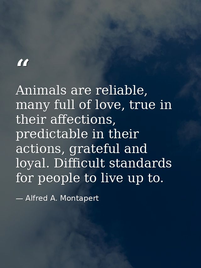 Animals are reliable, many full of love, true in their affections, predictable in their actions, grateful and loyal. Dif — Alfred A. Montapert