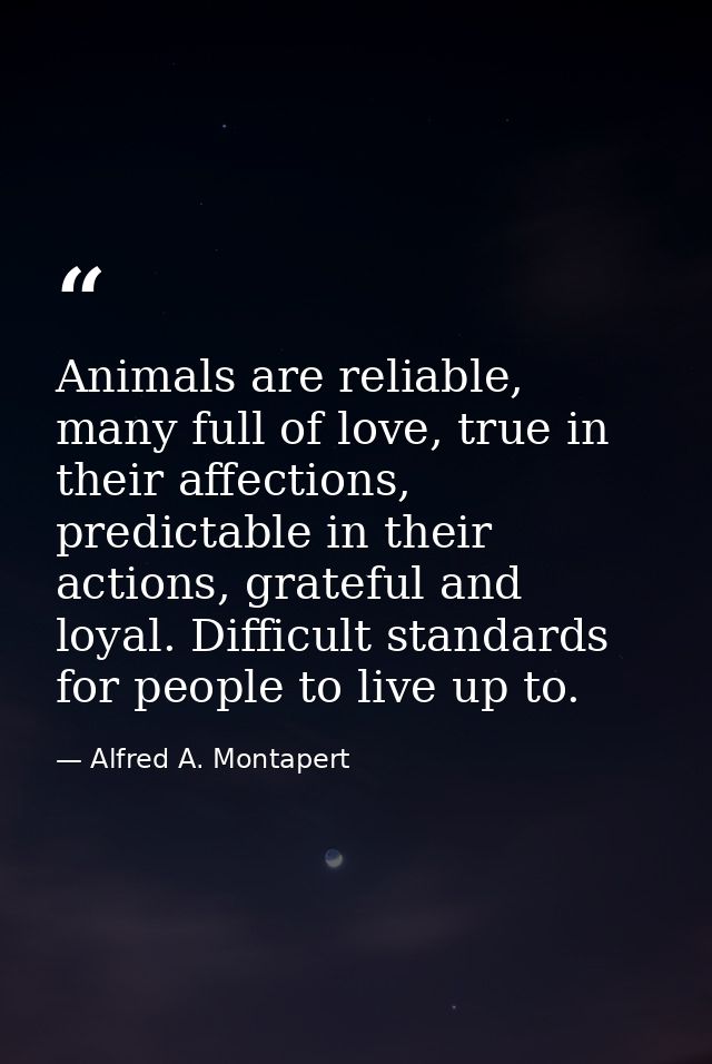 Animals are reliable, many full of love, true in their affections, predictable in their actions, grateful and loyal. Dif — Alfred A. Montapert