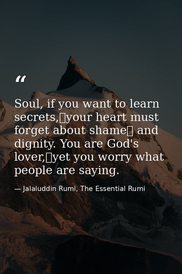 Soul, if you want to learn secrets, your heart must forget about shame  and dignity. You are God's lover, yet you worry  — Jalaluddin Rumi, The Essential Rumi