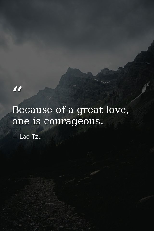 Because of a great love, one is courageous. — Lao Tzu