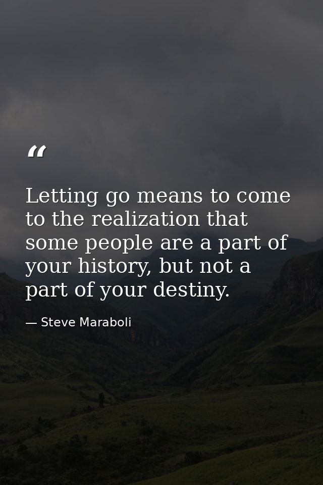 Letting go means to come to the realization that some people are a part of your history, but not a part of your destiny. — Steve Maraboli