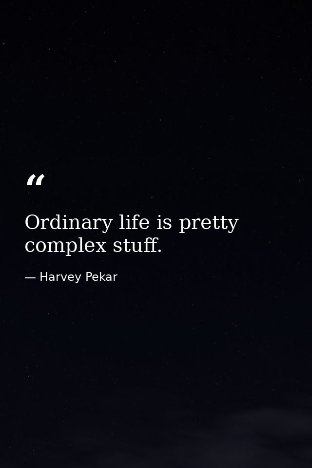 Ordinary life is pretty complex stuff. — Harvey Pekar