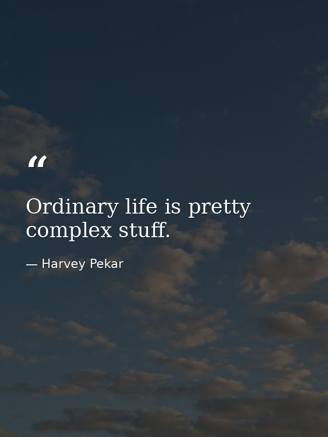Ordinary life is pretty complex stuff. — Harvey Pekar