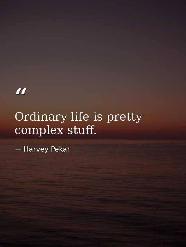 Ordinary life is pretty complex stuff. — Harvey Pekar