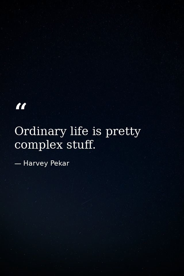 Ordinary life is pretty complex stuff. — Harvey Pekar