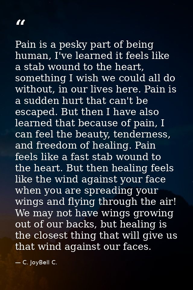 Pain is a pesky part of being human, I've learned it feels like a stab wound to the heart, something I wish we could all — C. JoyBell C.