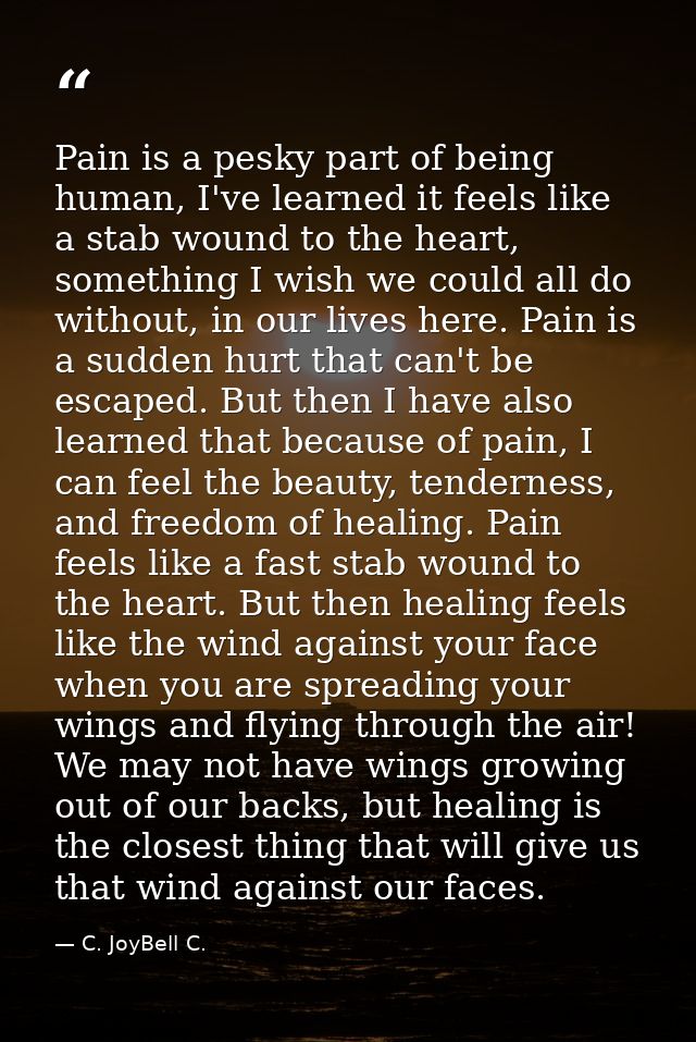 Pain is a pesky part of being human, I've learned it feels like a stab wound to the heart, something I wish we could all — C. JoyBell C.
