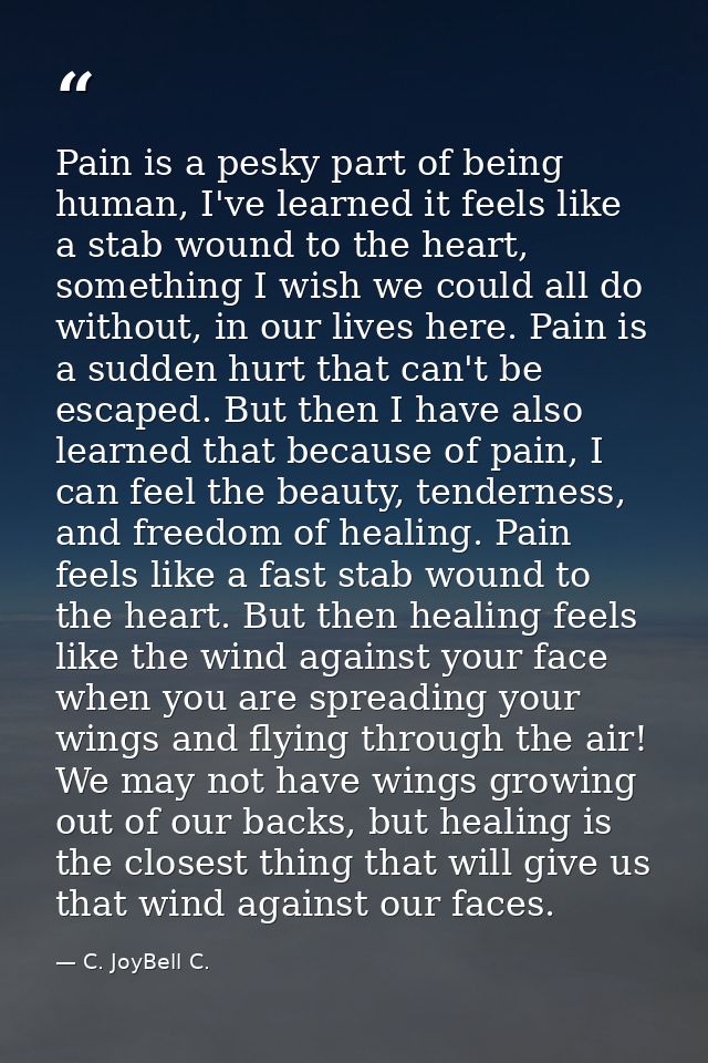 Pain is a pesky part of being human, I've learned it feels like a stab wound to the heart, something I wish we could all — C. JoyBell C.