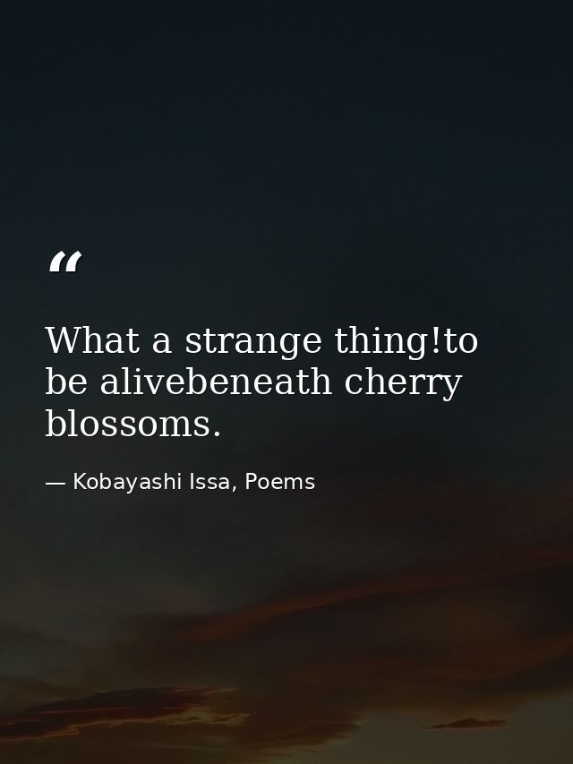 What a strange thing!to be alivebeneath cherry blossoms. — Kobayashi Issa, Poems