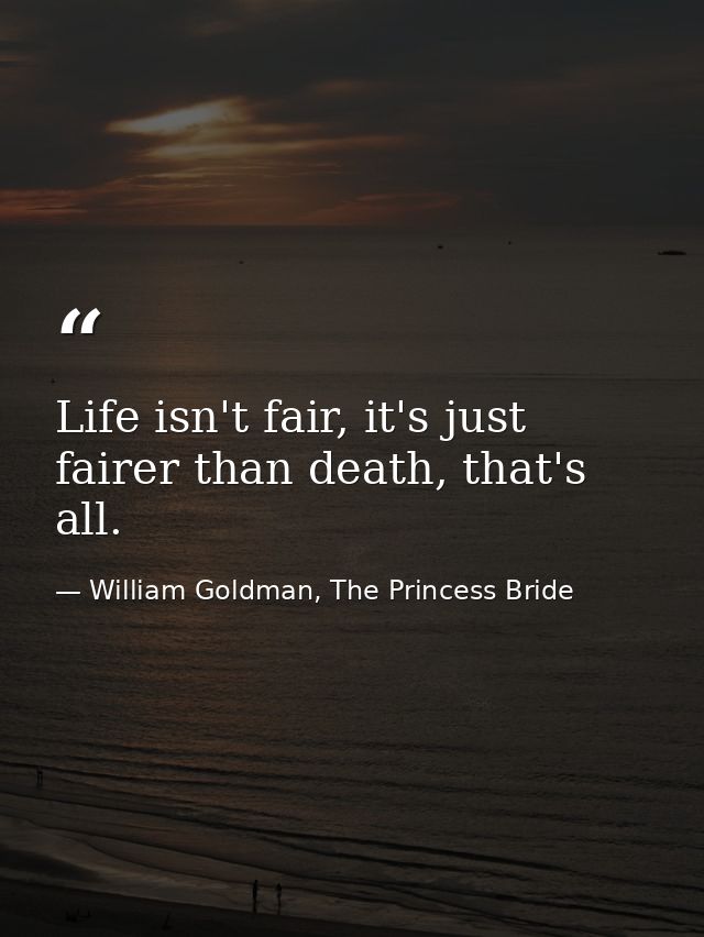 Life isn't fair, it's just fairer than death, that's all. — William Goldman, The Princess Bride