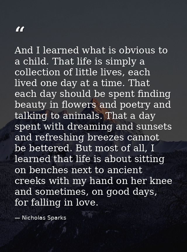 And I learned what is obvious to a child. That life is simply a collection of little lives, each lived one day at a time — Nicholas Sparks