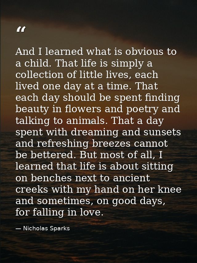 And I learned what is obvious to a child. That life is simply a collection of little lives, each lived one day at a time — Nicholas Sparks