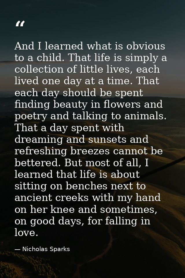 And I learned what is obvious to a child. That life is simply a collection of little lives, each lived one day at a time — Nicholas Sparks