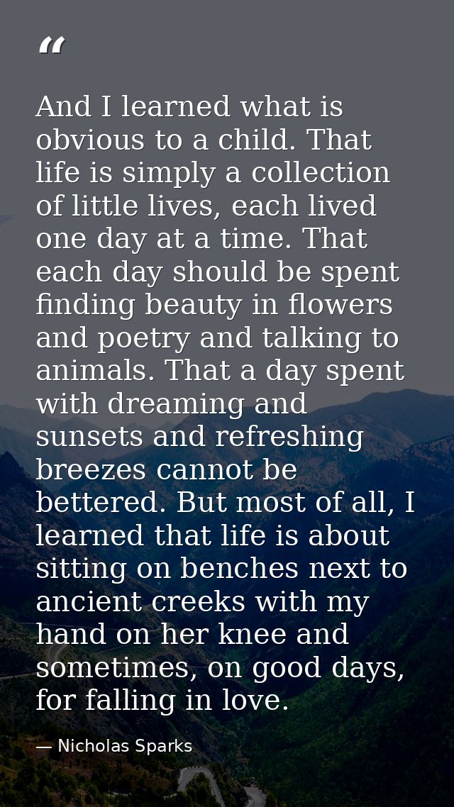 And I learned what is obvious to a child. That life is simply a collection of little lives, each lived one day at a time — Nicholas Sparks