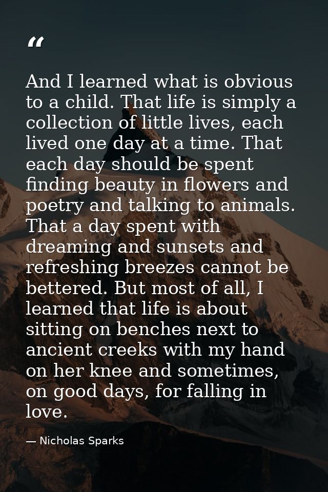 And I learned what is obvious to a child. That life is simply a collection of little lives, each lived one day at a time — Nicholas Sparks