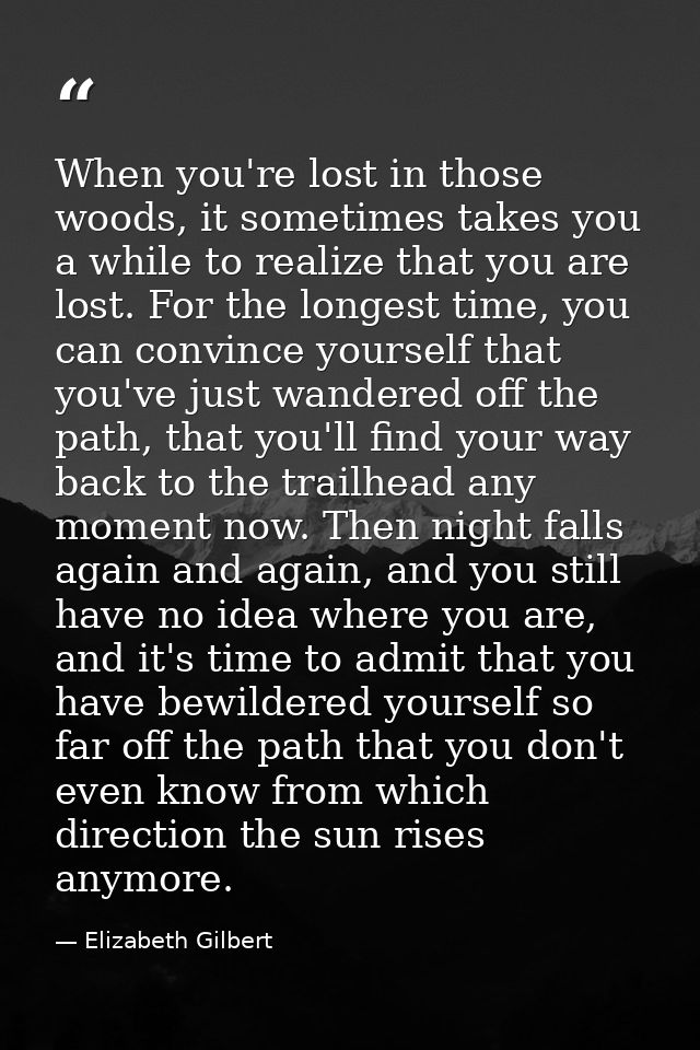 When you're lost in those woods, it sometimes takes you a while to realize that you are lost. For the longest time, you  — Elizabeth Gilbert