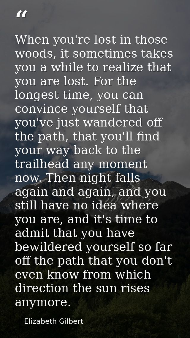 When you're lost in those woods, it sometimes takes you a while to realize that you are lost. For the longest time, you  — Elizabeth Gilbert
