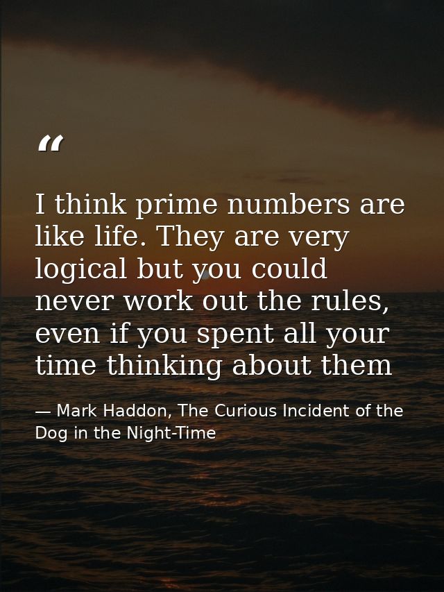 I think prime numbers are like life. They are very logical but you could never work out the rules, even if you spent all — Mark Haddon, The Curious Incident of the Dog in the Night-Time