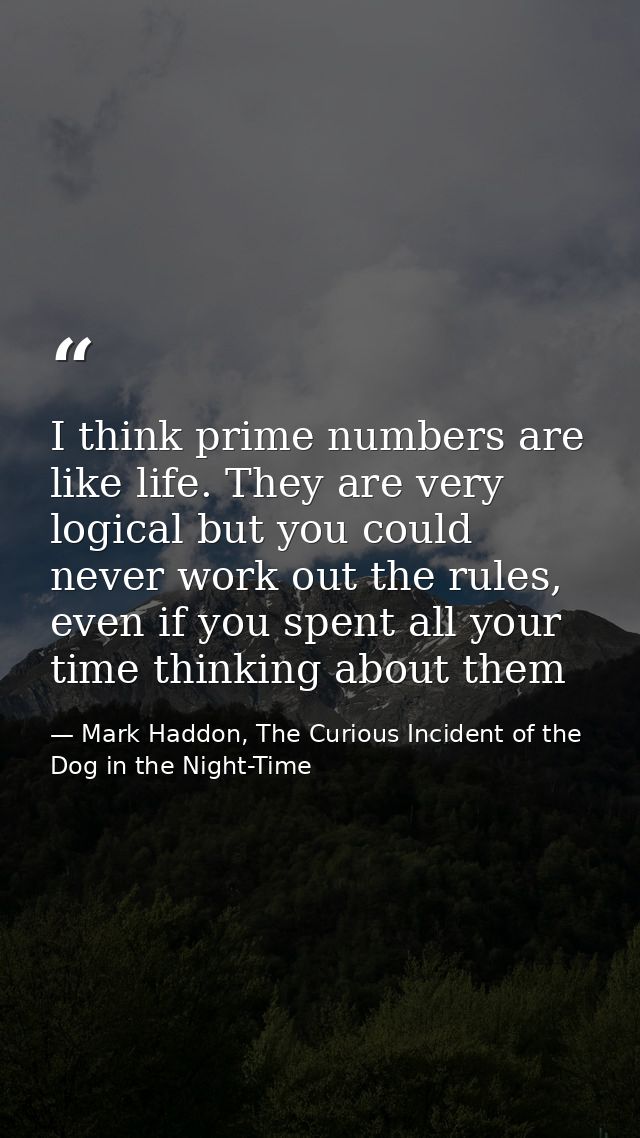 I think prime numbers are like life. They are very logical but you could never work out the rules, even if you spent all — Mark Haddon, The Curious Incident of the Dog in the Night-Time