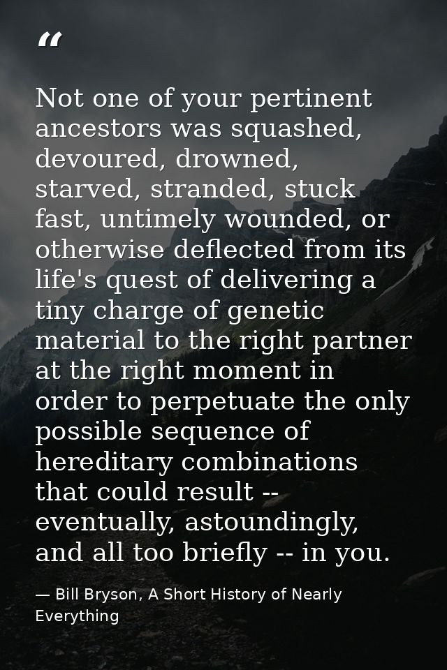 Not one of your pertinent ancestors was squashed, devoured, drowned, starved, stranded, stuck fast, untimely wounded, or — Bill Bryson, A Short History of Nearly Everything