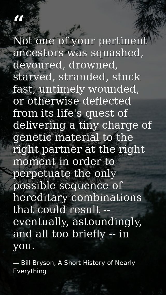 Not one of your pertinent ancestors was squashed, devoured, drowned, starved, stranded, stuck fast, untimely wounded, or — Bill Bryson, A Short History of Nearly Everything