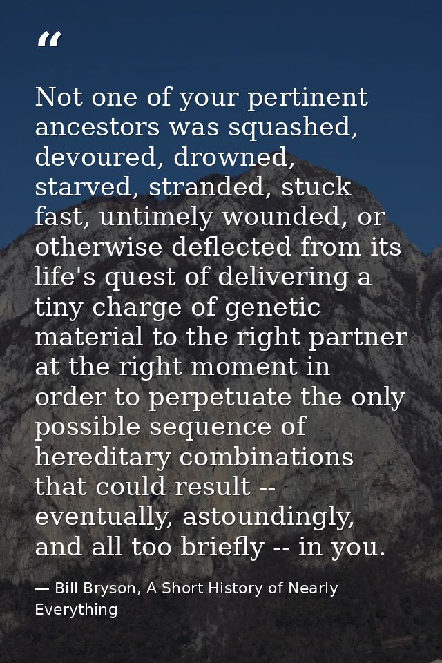 Not one of your pertinent ancestors was squashed, devoured, drowned, starved, stranded, stuck fast, untimely wounded, or — Bill Bryson, A Short History of Nearly Everything