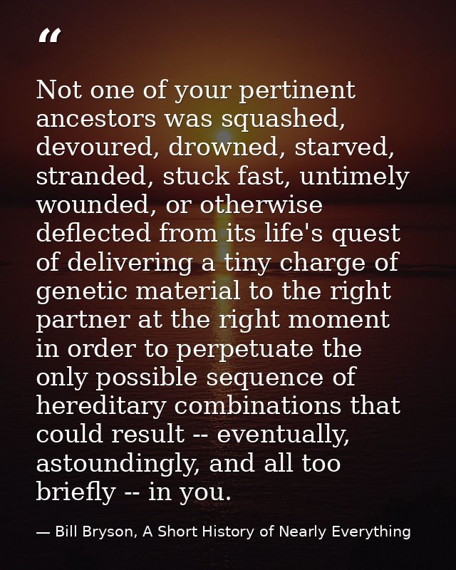 Not one of your pertinent ancestors was squashed, devoured, drowned, starved, stranded, stuck fast, untimely wounded, or — Bill Bryson, A Short History of Nearly Everything