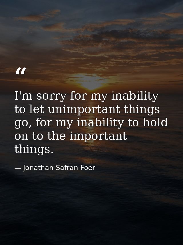 I'm sorry for my inability to let unimportant things go, for my inability to hold on to the important things. — Jonathan Safran Foer