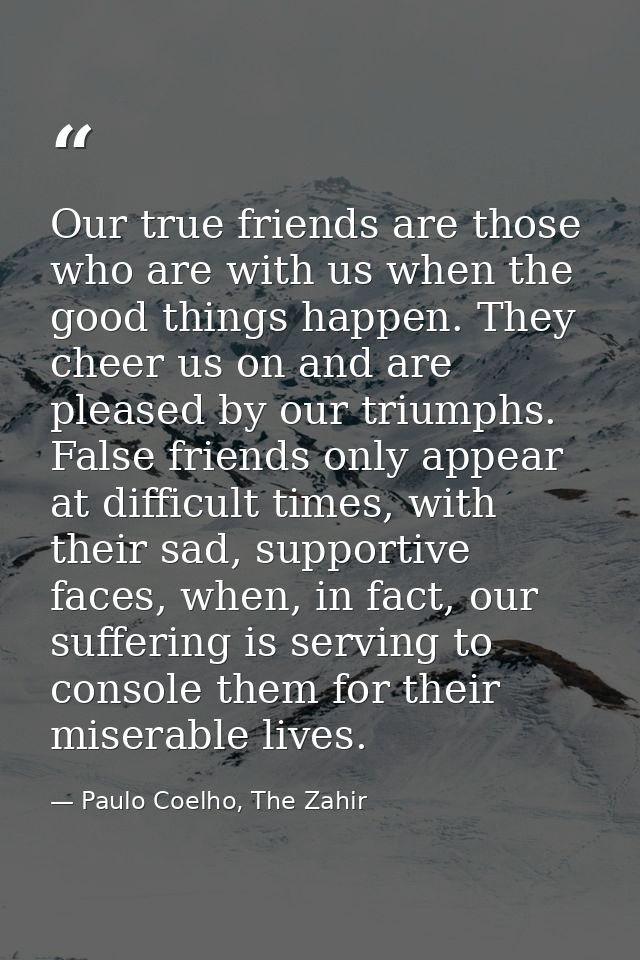 Our true friends are those who are with us when the good things happen. They cheer us on and are pleased by our triumphs — Paulo Coelho, The Zahir
