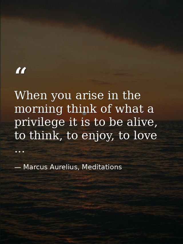 When you arise in the morning think of what a privilege it is to be alive, to think, to enjoy, to love ... — Marcus Aurelius, Meditations