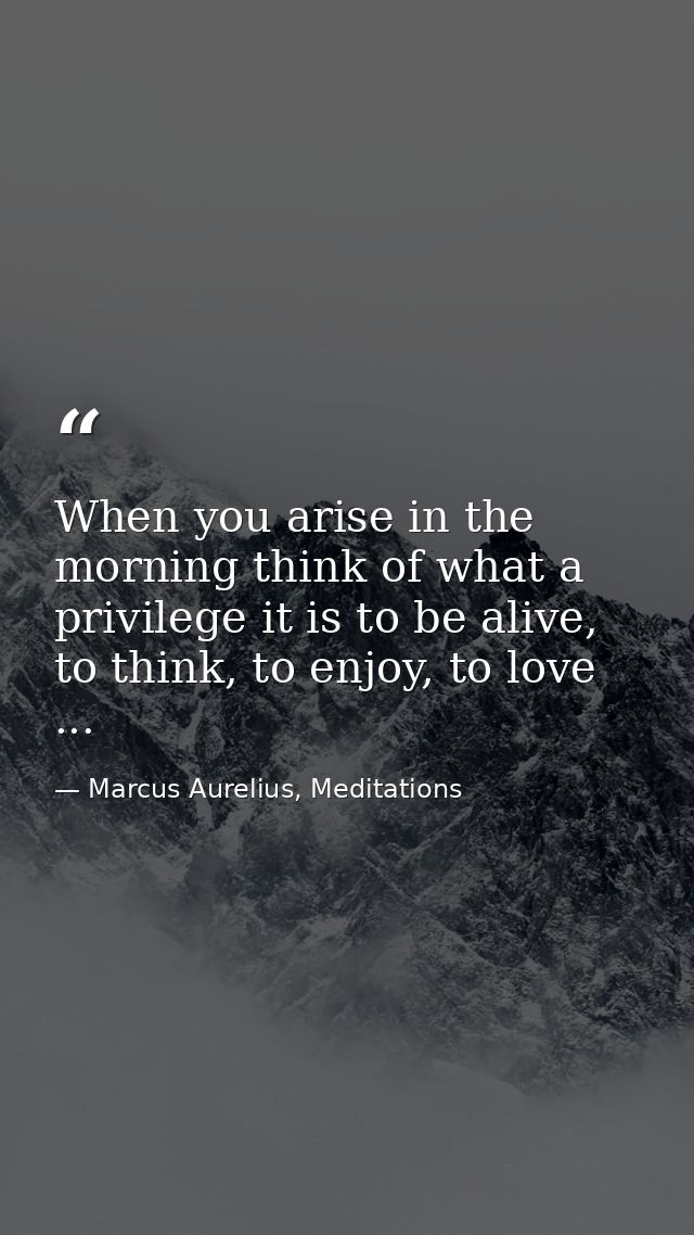 When you arise in the morning think of what a privilege it is to be alive, to think, to enjoy, to love ... — Marcus Aurelius, Meditations
