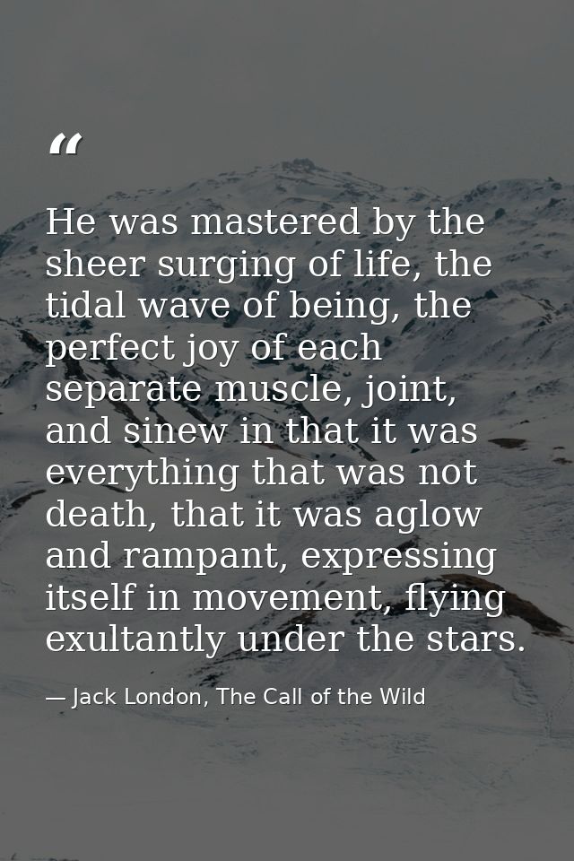 He was mastered by the sheer surging of life, the tidal wave of being, the perfect joy of each separate muscle, joint, a — Jack London, The Call of the Wild