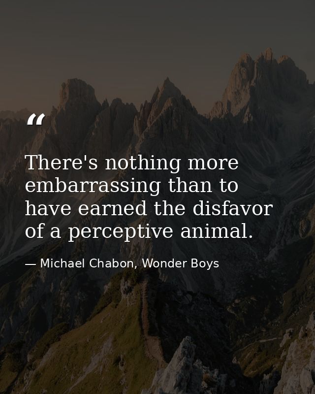 There's nothing more embarrassing than to have earned the disfavor of a perceptive animal. — Michael Chabon, Wonder Boys