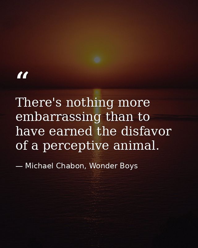There's nothing more embarrassing than to have earned the disfavor of a perceptive animal. — Michael Chabon, Wonder Boys