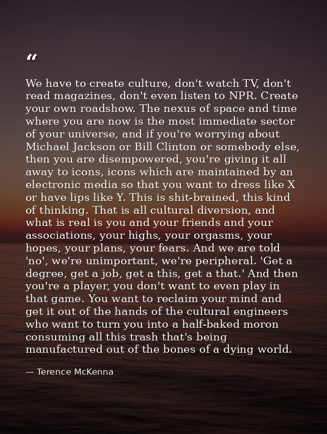 We have to create culture, don't watch TV, don't read magazines, don't even listen to NPR. Create your own roadshow. The — Terence McKenna