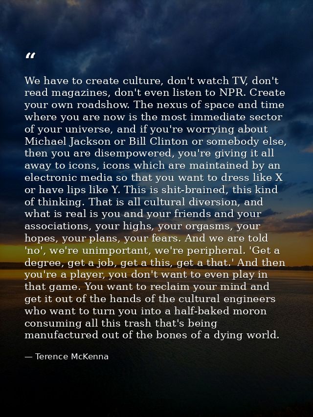 We have to create culture, don't watch TV, don't read magazines, don't even listen to NPR. Create your own roadshow. The — Terence McKenna